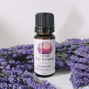 Lavender Grosso Essential Oil