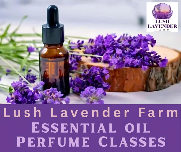 Create Your Own Essential Oil Perfume